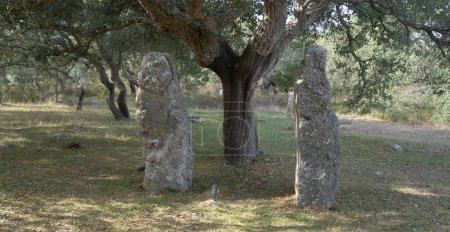 Photo for Tomb of the giants and menhirs of the archaeological park of Pranu Matteddu in Goni in southern Sardinia - Royalty Free Image