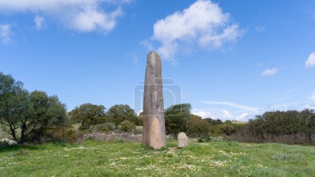 Photo for Aerial view of the necropolis of Is Forrus and menhirs of Monte Corru Tundu, Villa Sant'Antonio in central Sardinia - Royalty Free Image