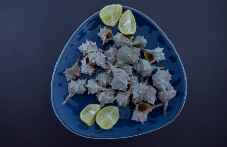 Photo for Bolinus brandaris or murici, Plate of seafood morsels with lemon, boiled sea snails, Mediterranean Foo - Royalty Free Image