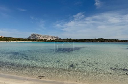 Die Insel Tavolara von Cala Brandinch aus gesehen