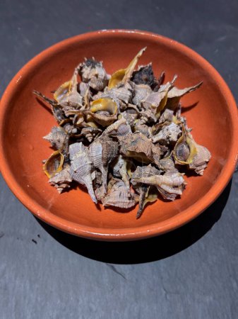 Bolinus brandaris or murici, Plate of seafood morsels with lemon, boiled sea snails, Mediterranean Foo