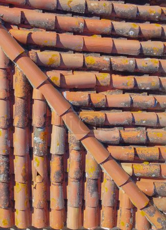 Foto de Azulejo de techo de cerámica viejo sin costuras. Vector Textura inconsútil - Imagen libre de derechos