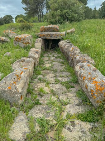 Tomb of the Nuragic Giants sa sedda e Sa Caudeba in Collinas in central Sardinia