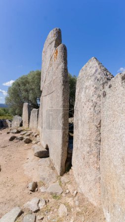 géants tombeau de li lolghi arzachena et li muri nécropole