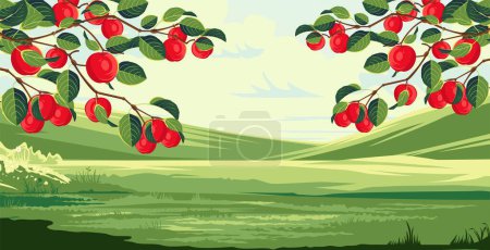 Illustration for View of agricultural fields with apples spreading in the surrounding area and a backdrop of plantations and clear skies - Royalty Free Image