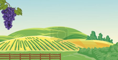 Illustration for Vector vineyard with hills background, with bright clouds and beautiful view - Royalty Free Image