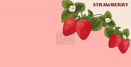 Téléchargez les illustrations : Vecteur fraise fond isolé sur un fond rose - en licence libre de droit