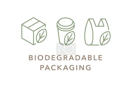 Ilustración de Logo de insignia de icono de vector de embalaje biodegradable - Imagen libre de derechos