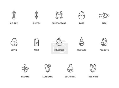 Food allergens vector icons set