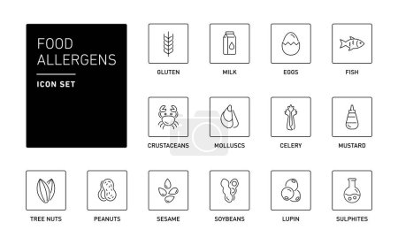 Téléchargez les illustrations : Ensemble d'icônes vectorielles allergènes alimentaires - en licence libre de droit