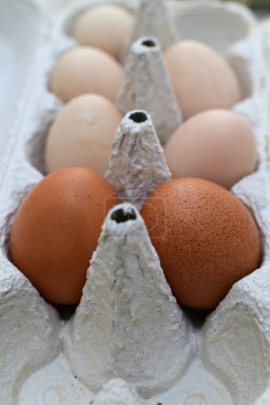 Two brown and five white eggs in an egg carton