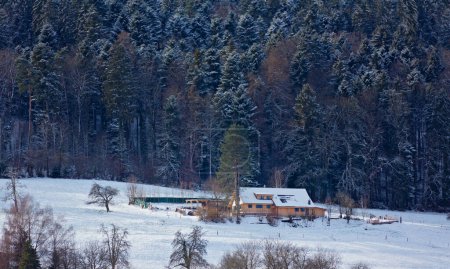 Reinach Village en invierno, Suiza