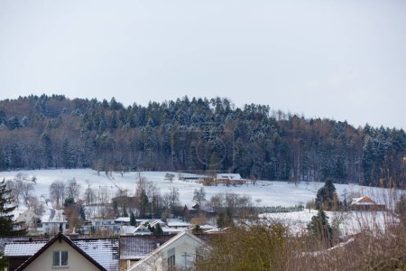 Téléchargez les photos : Reinach Village en hiver, Suisse - en image libre de droit