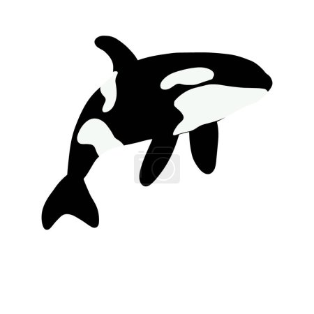 Ilustración de Ballenas Orca. Ballenas asesinas de animales marinos. Animal marino de estilo escandinavo. - Imagen libre de derechos