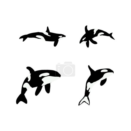 Illustration for Orca whales. Sea animal killer whales. Marine animal in Scandinavian style. - Royalty Free Image