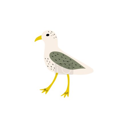 Illustration for Seagull. Atlantic seabird. Marine Animal Vector illustration on white background. - Royalty Free Image
