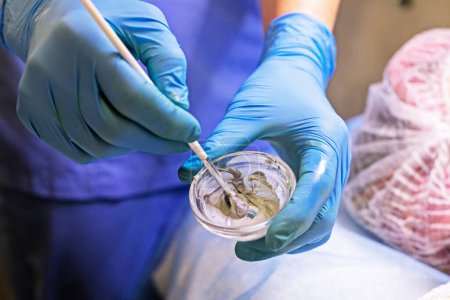 Téléchargez les photos : Esthéticienne agite dans un récipient en verre une substance médicinale pour un masque facial - en image libre de droit