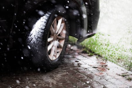 Téléchargez les photos : Gros plan d'une roue de voiture dans les pneus d'hiver par mauvais temps avec de la neige lorsque l'herbe devient verte. Phènes naturels anormaux - en image libre de droit