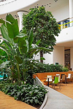 jardín tropical con enormes hojas de plátano en el interior de la cafetería. vertical