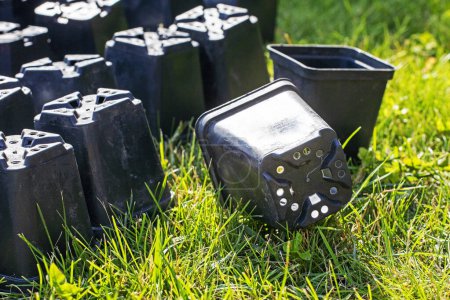 Photo for Empty plastic black containers for plants on a green lawn. Cultivation Garden and vegetable garden - Royalty Free Image