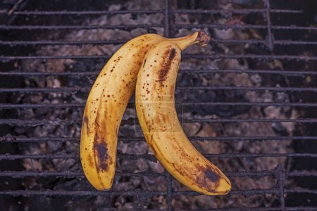 Photo for Two overripe bananas on a gilt rack - Royalty Free Image