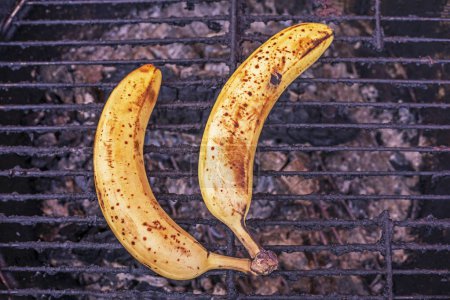 Photo for Two overripe bananas on gil lattice. picnic - Royalty Free Image