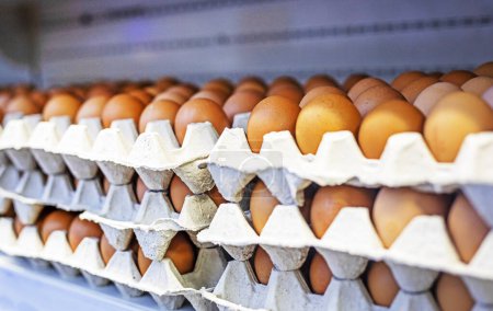 Foto de Bandejas de huevos marrones en un recipiente en una tienda - Imagen libre de derechos
