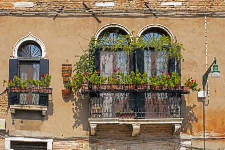 Téléchargez les photos : Belles vieilles fenêtres avec un balcon avec des fleurs de géranium frais à Venise - en image libre de droit