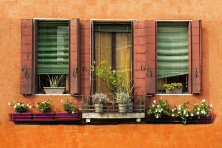 Téléchargez les photos : Belles fenêtres avec volets, stores et fleurs intérieures sur un bâtiment orange à Venise - en image libre de droit