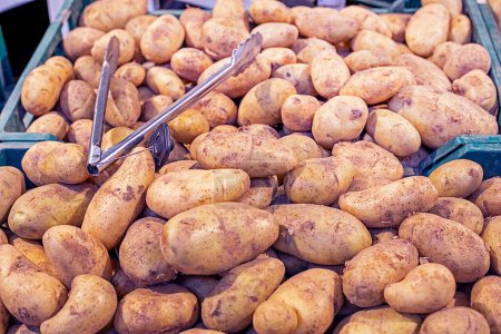 young white organic potatoes by weight in a supermarket