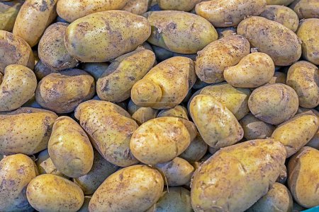 close-up of white organic potatoes by weight in a supermarket