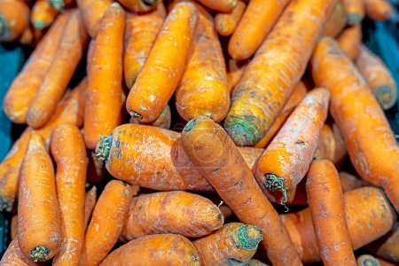 close-up of eco-friendly sweet carrots by weight in a supermarket