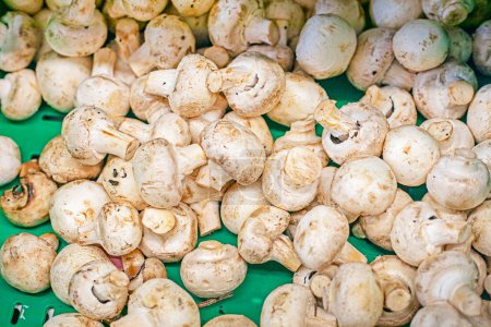 Champignon-Pilze in einer Schachtel in einem Supermarkt. gesunde vegane Ernährung
