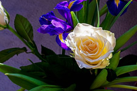 fleurs printanières avec roses, iris et tulipes sur fond gris. Festival de printemps