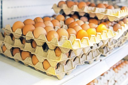 primer plano de los huevos de pollo marrón de granja en recipientes de cartón en un mostrador de la tienda