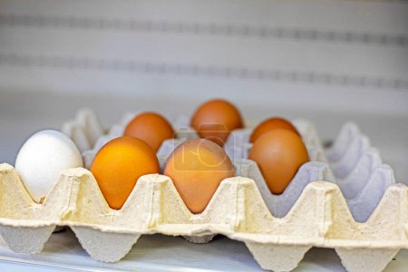 huevos de pollo marrón de granja en recipientes de cartón en un mostrador de la tienda