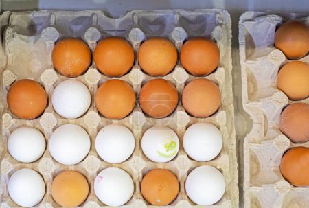 farm brown chicken eggs in cardboard containers on a store counter