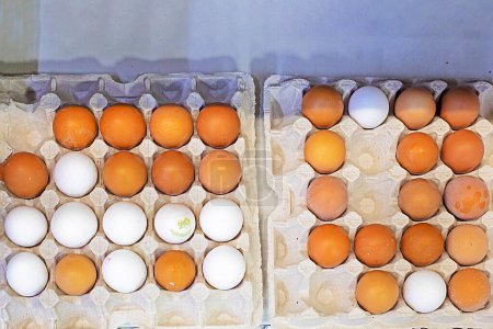 close-up of farm brown chicken eggs in cardboard containers on a store counter