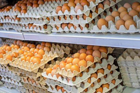 farm brown chicken eggs in cardboard containers on the store counter. Approaching Easter. Crisis and rising prices