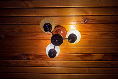 an der Wand montierter natürlicher Lampenschirm aus Glas auf Holzverkleidung. Ökologisches Design