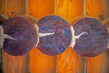Foto de Anillos de madera de abeto utilizados en la construcción de casas. Cómo diseñar en el interior y cuidar casas de madera. - Imagen libre de derechos
