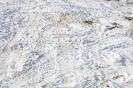 abstract natural light background of snow slope with ground