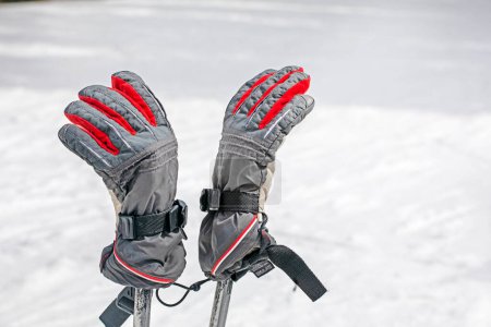 Wanderstöcke mit Handschuhen auf einem flachen, schneebedeckten Hang an einem sonnigen Tag. Aktive Erholung