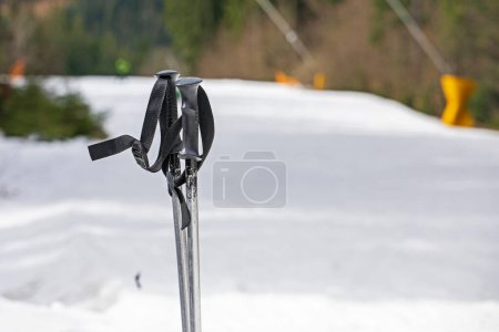 ski poles near and on the ski slope. safety and active recreation