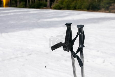 bâtons de ski près et sur la piste de ski. sécurité et loisirs actifs