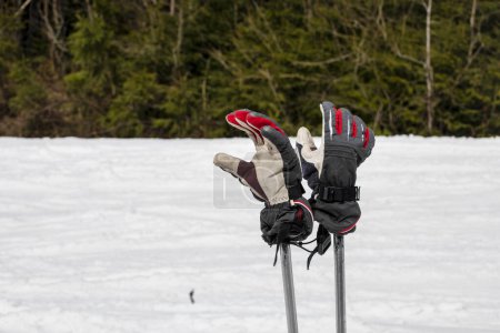 gloves dressed on ski poles on the slope. Leisure