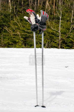 ski gloves dressed on ski poles on the slope. Leisure