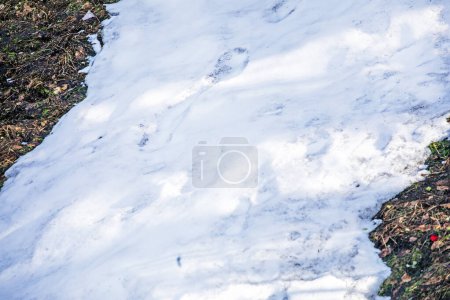 Skifahrer auf einem Schneehang für Anfänger an einem sonnigen Tag. Aktive Erholung