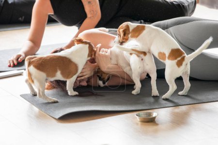 feliz grupo de chicas haciendo yoga con pedigrí Jack Russell Terrier cachorros. Estilo de vida saludable