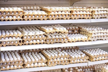 white chicken eggs in cardboard containers on the counter in a supermarket. Economic crisis